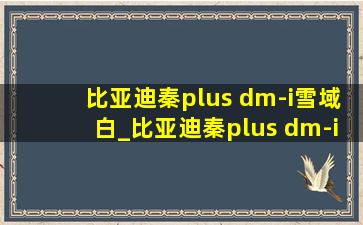 比亚迪秦plus dm-i雪域白_比亚迪秦plus dm-i是油混还是插混